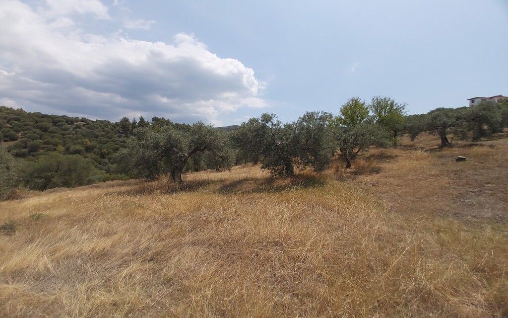 Grundstück in Sithonia, Griechenland, 10 500 m2 - Foto 1