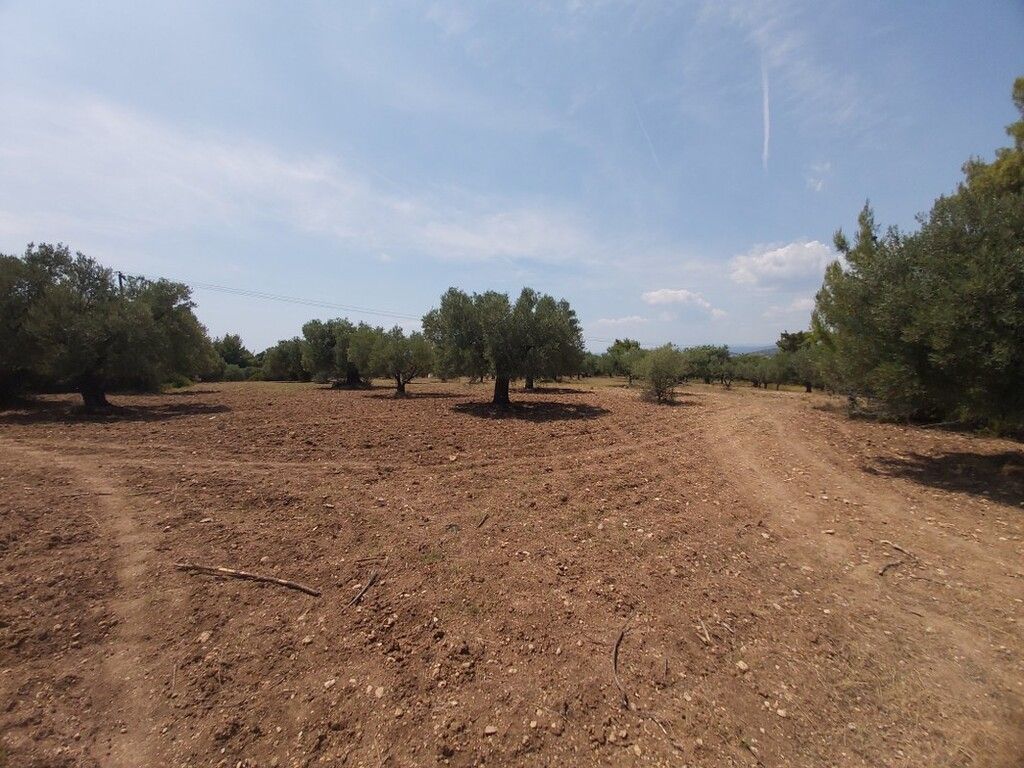 Land in Chalkidiki, Greece, 8 000 sq.m - picture 1