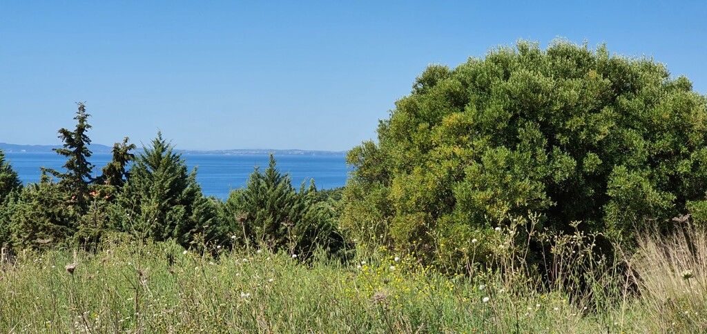 Land in Chalkidiki, Greece, 4 000 sq.m - picture 1