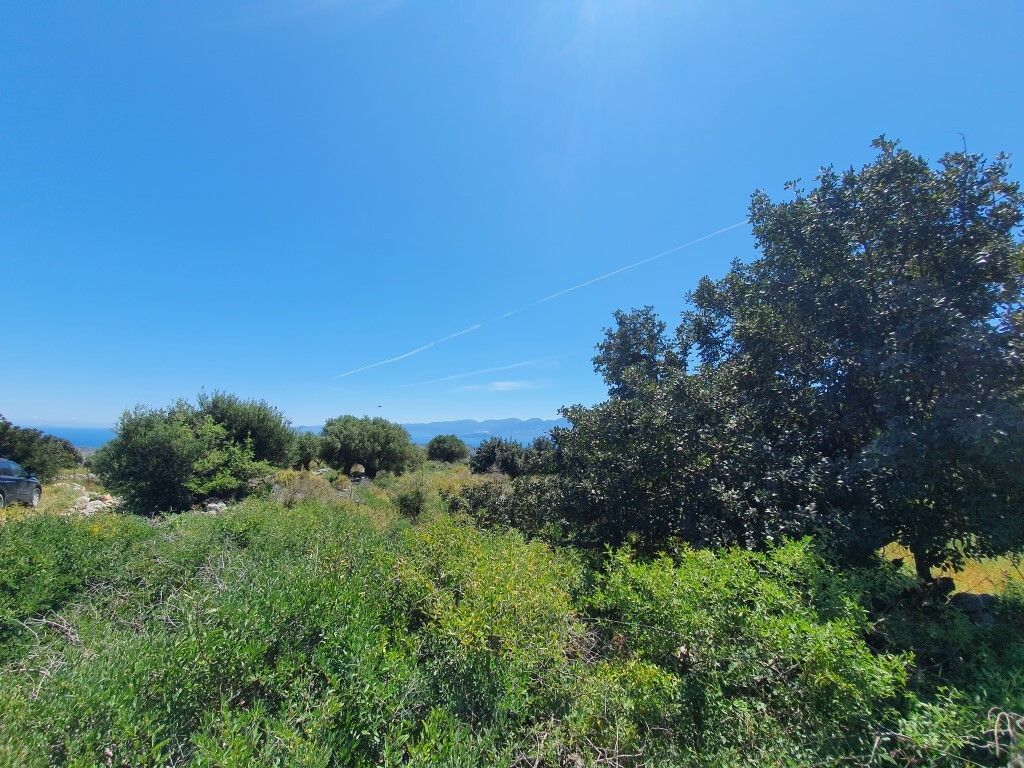 Land in Lasithi, Greece, 7 857 sq.m - picture 1