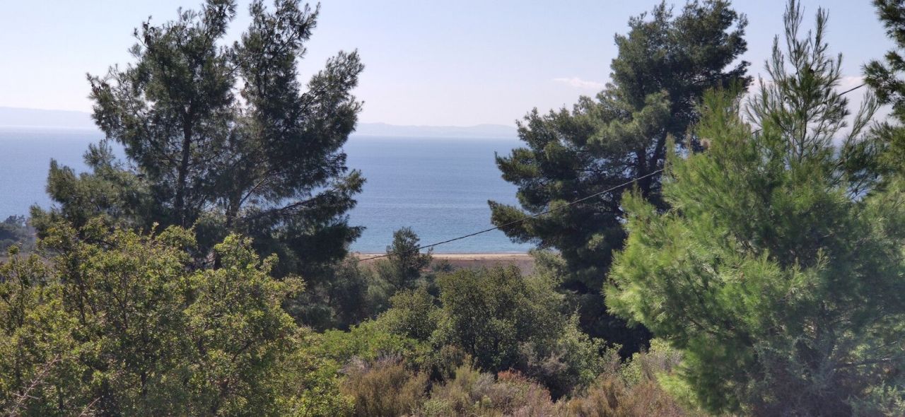 Land in Chalkidiki, Greece, 4 170 sq.m - picture 1