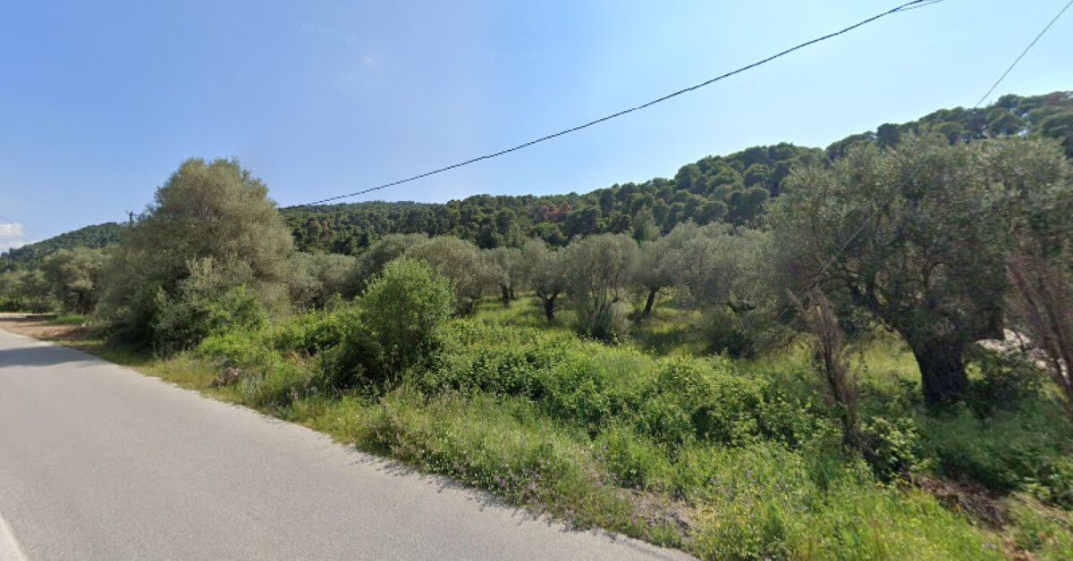 Land in Sithonia, Greece, 4 100 sq.m - picture 1