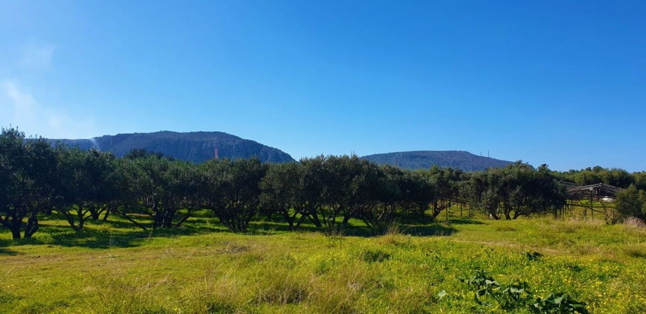 Land in Anissaras, Greece, 5 500 sq.m - picture 1