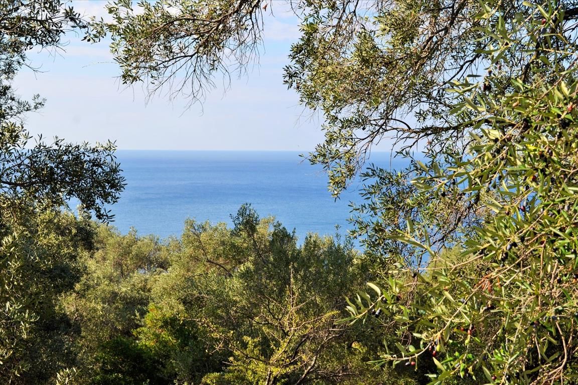Land in Corfu, Greece, 7 606 sq.m - picture 1