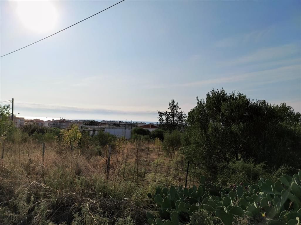 Land in Thessaloniki, Greece, 3 685 sq.m - picture 1