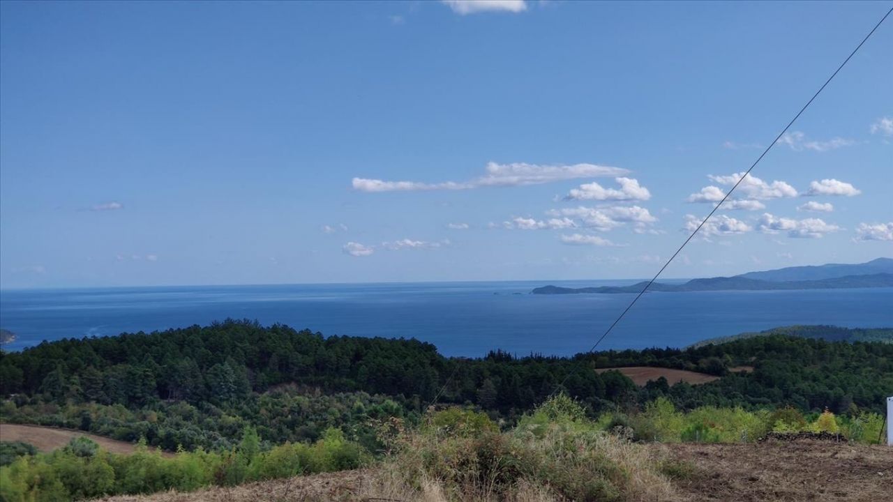 Land on Mount Athos, Greece, 50 000 sq.m - picture 1