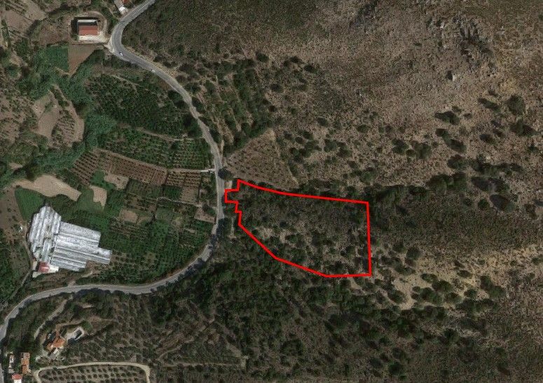 Land in Ligaria, Greece, 16 000 sq.m - picture 1