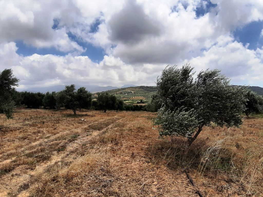 Grundstück in Präfektur Iraklio, Griechenland, 15 000 m2 - Foto 1