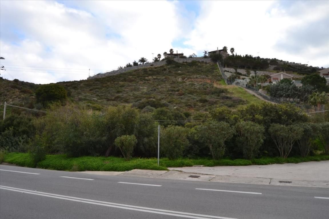 Land in Ligaria, Greece, 11 000 sq.m - picture 1
