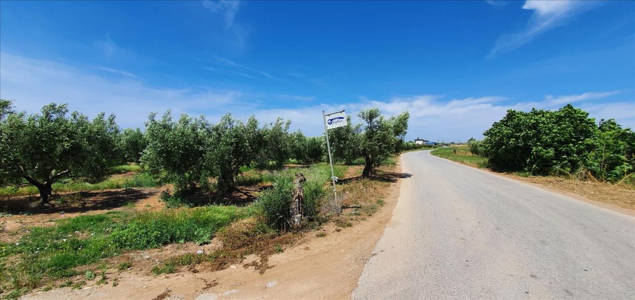 Terreno en Sani, Grecia, 4 686 m2 - imagen 1
