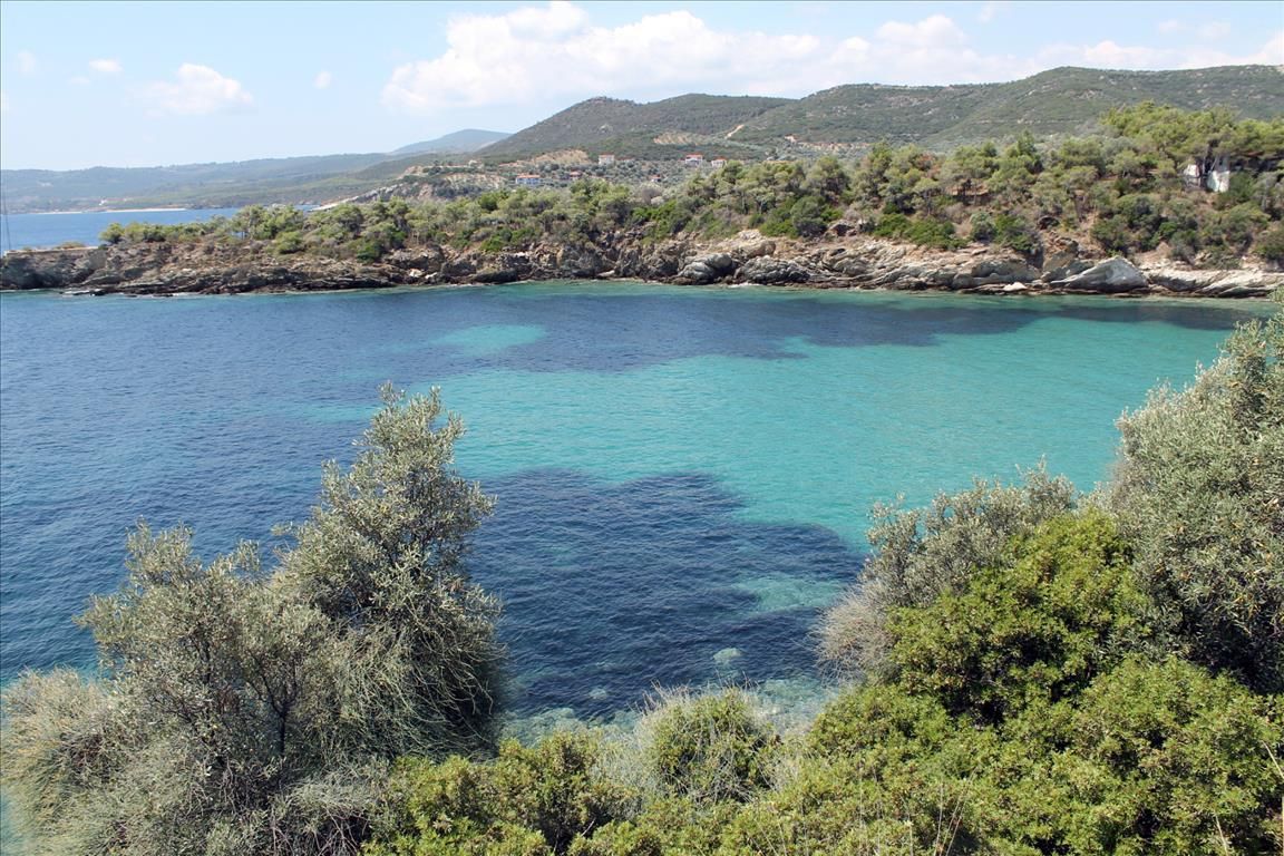 Land in Chalkidiki, Greece, 16 500 sq.m - picture 1