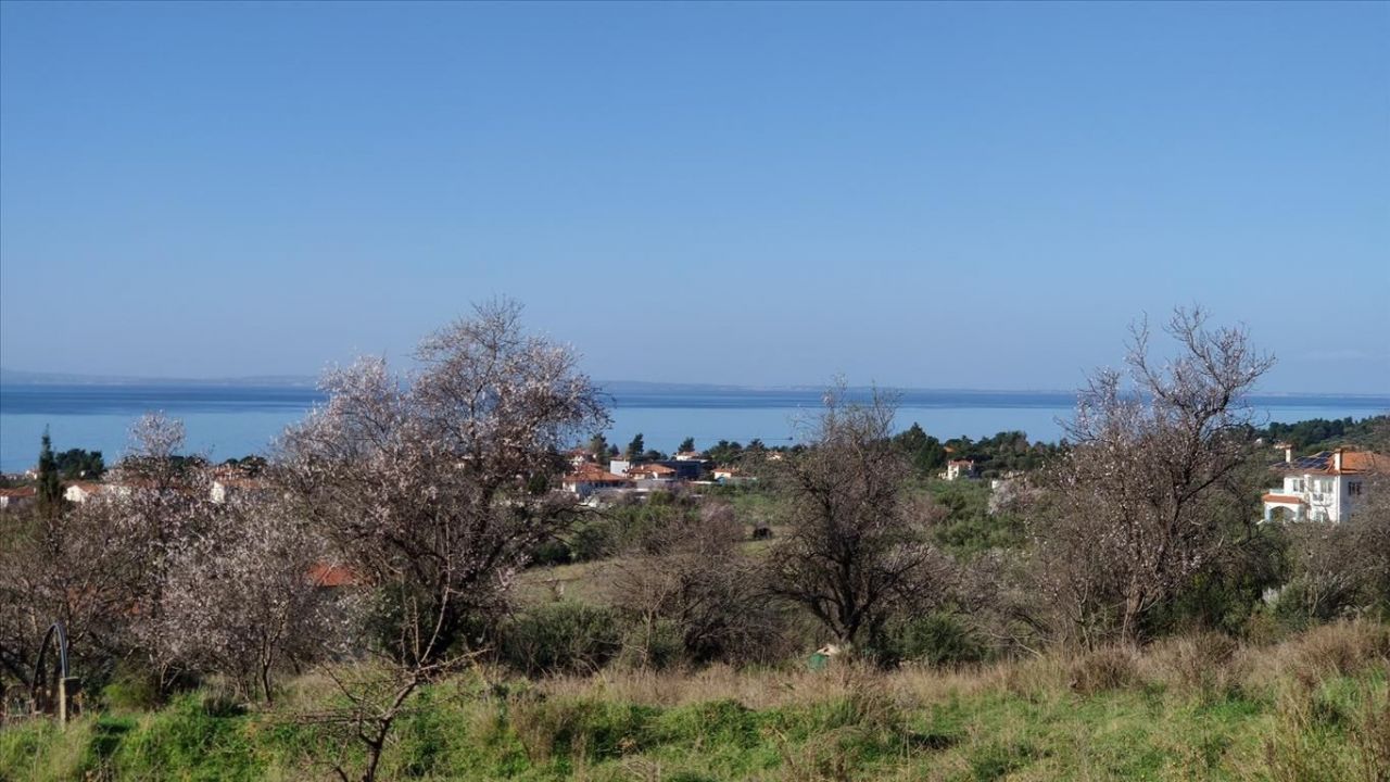 Land in Sithonia, Greece, 1 000 sq.m - picture 1