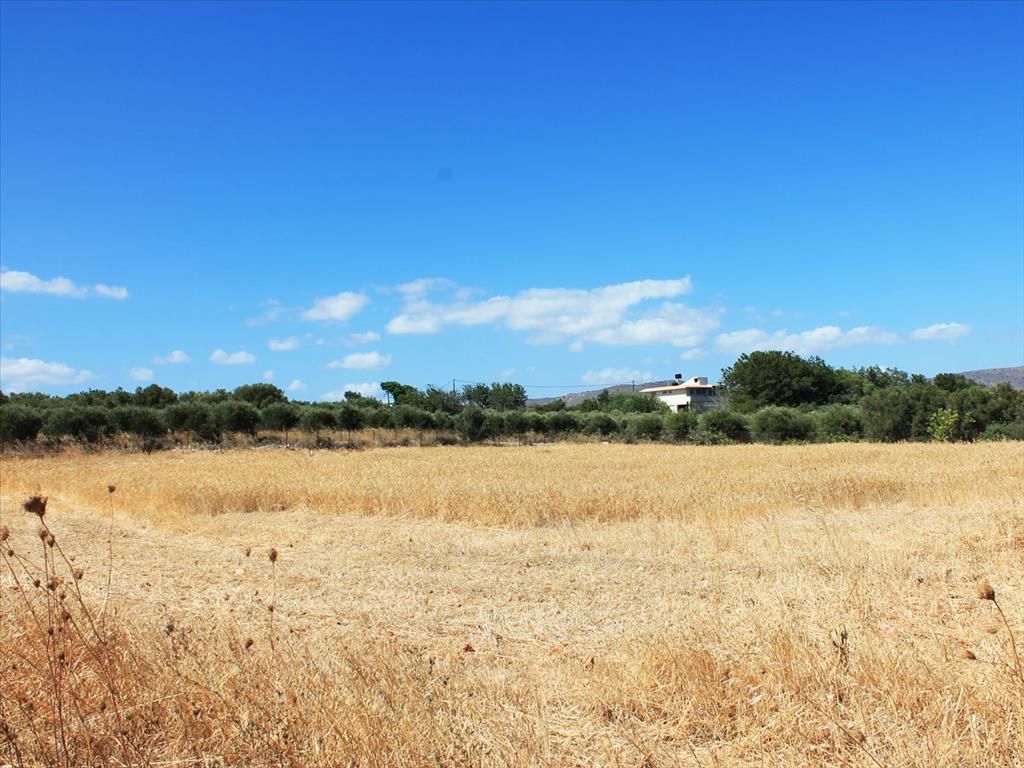 Land in Anissaras, Greece, 5 062 sq.m - picture 1