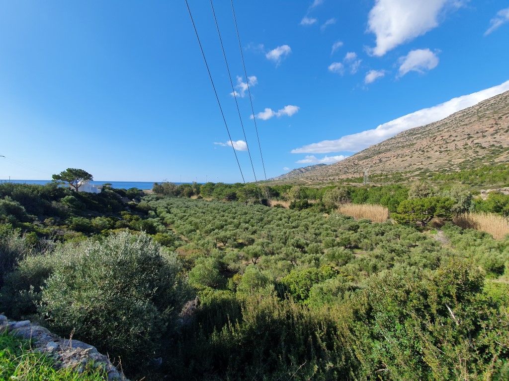 Grundstück in Ierapetra, Griechenland, 12 950 m2 - Foto 1