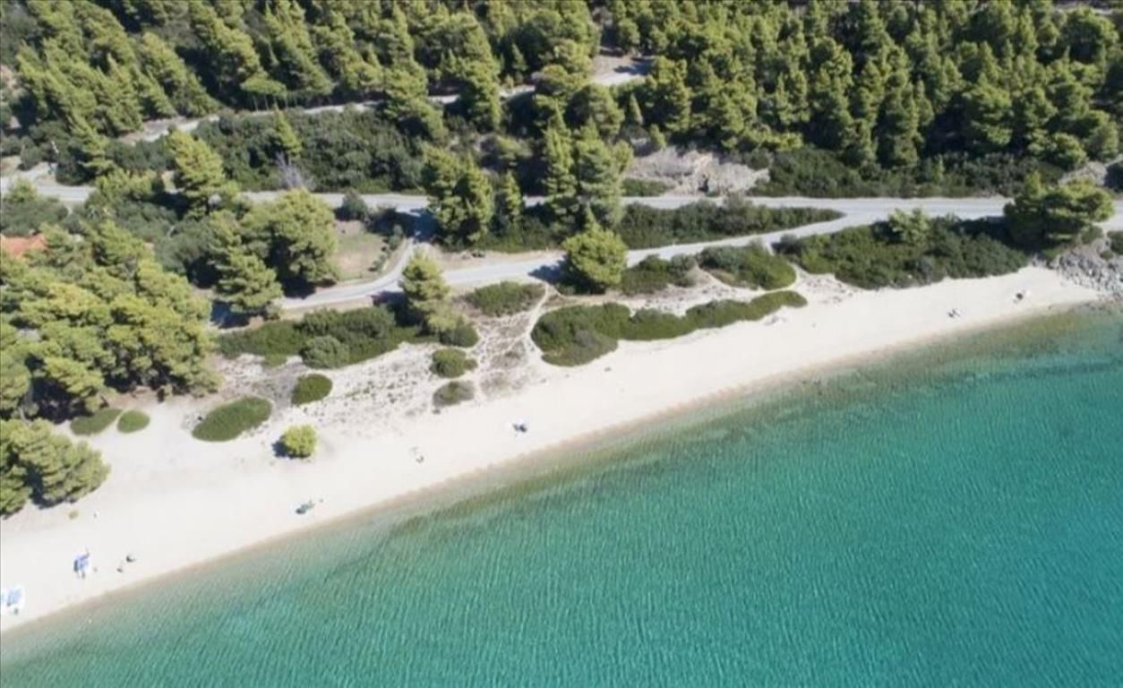 Land in Sithonia, Greece, 4 700 sq.m - picture 1