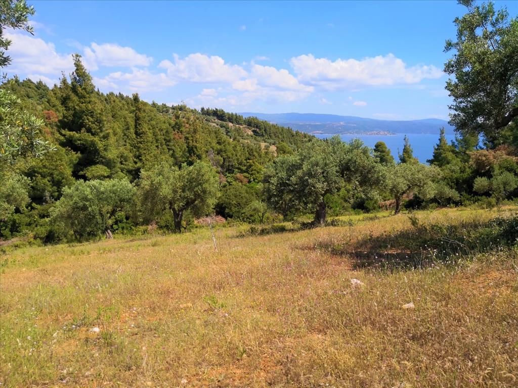 Grundstück in Sithonia, Griechenland, 5 400 m2 - Foto 1