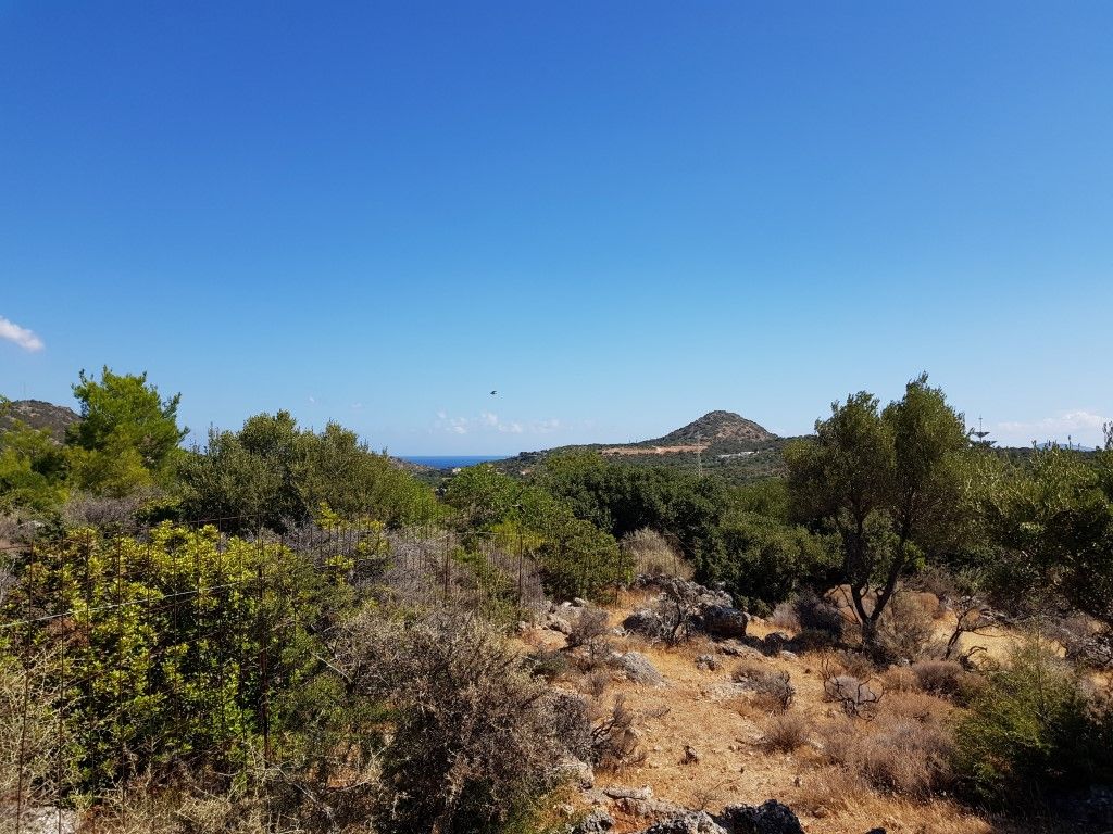Land in Lasithi, Greece, 14 565 sq.m - picture 1