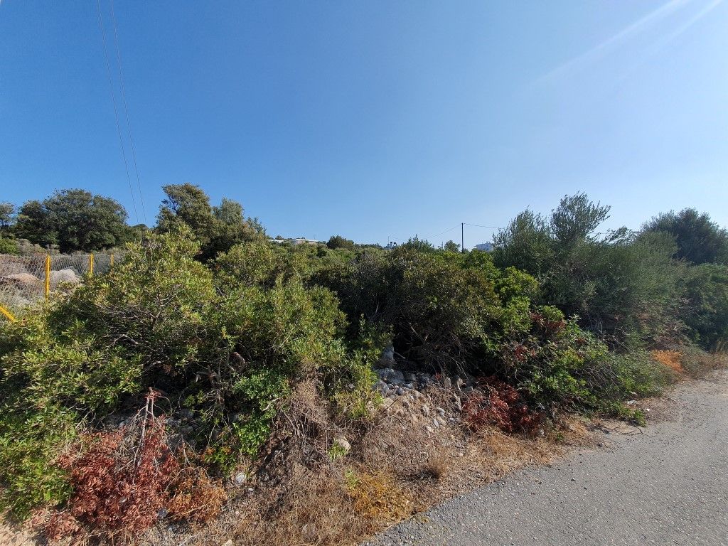 Land in Lasithi, Greece, 7 304 sq.m - picture 1