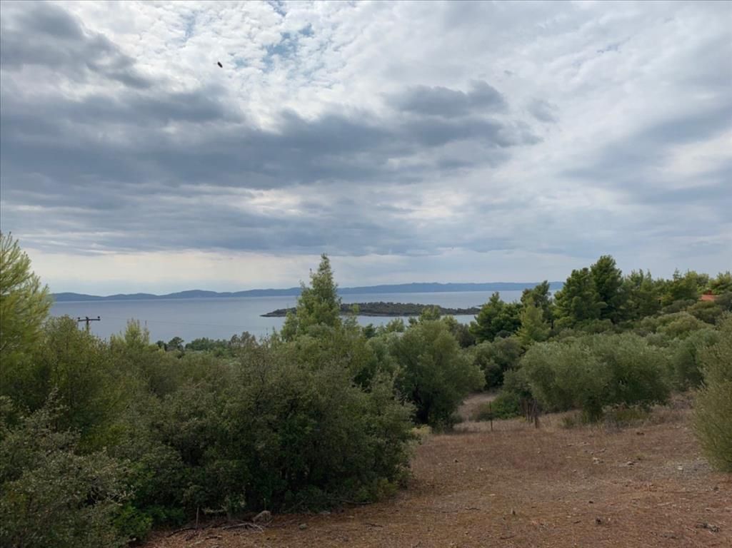 Land in Sithonia, Greece, 12 458 sq.m - picture 1