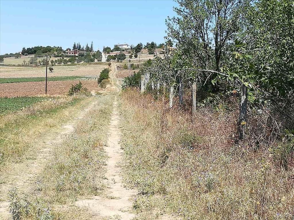 Land in Thessaloniki, Greece, 8 500 sq.m - picture 1