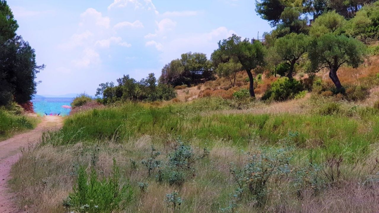 Land in Sithonia, Greece, 6 800 sq.m - picture 1