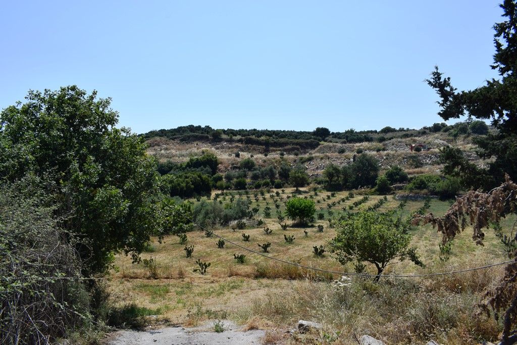 Land in Rethymno, Greece, 8 500 sq.m - picture 1