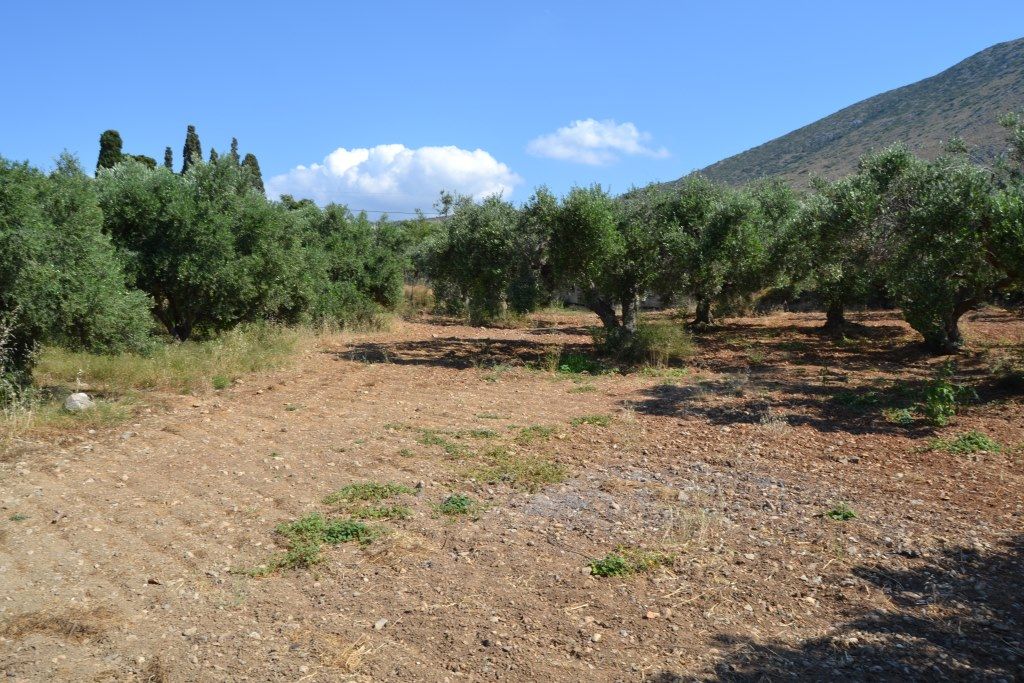 Land in Hersonissos, Greece, 3 500 sq.m - picture 1
