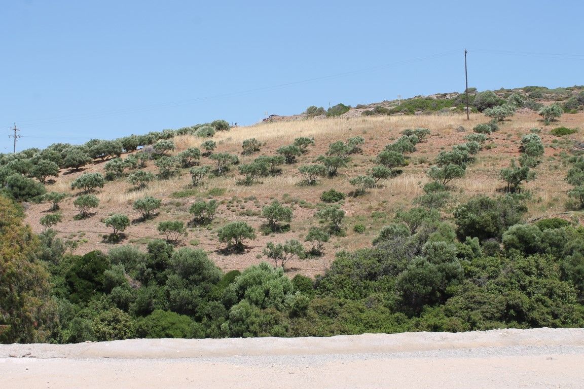 Land in Lasithi, Greece, 10 447 sq.m - picture 1