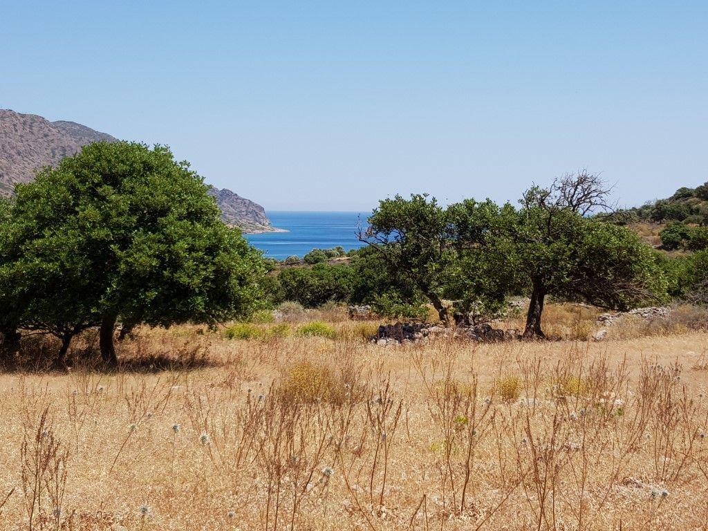Land in Lasithi, Greece, 8 000 sq.m - picture 1