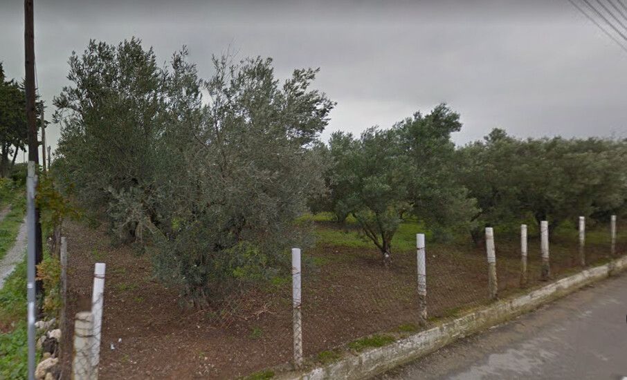 Land in Sani, Greece, 21 350 sq.m - picture 1