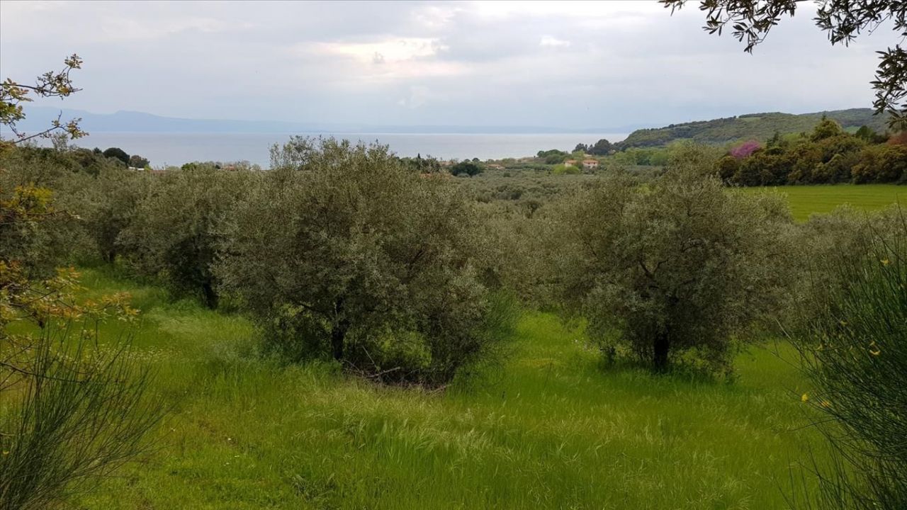 Grundstück auf dem Athos, Griechenland, 6 500 m2 - Foto 1
