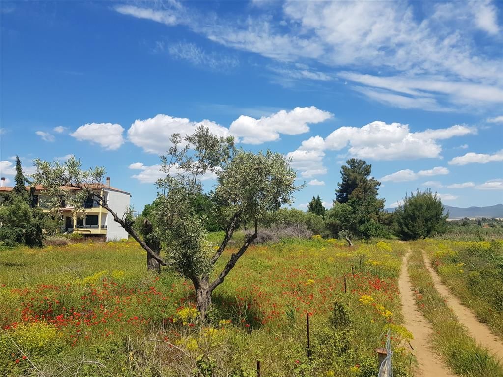 Grundstück in Chalkidiki, Griechenland, 449 m2 - Foto 1