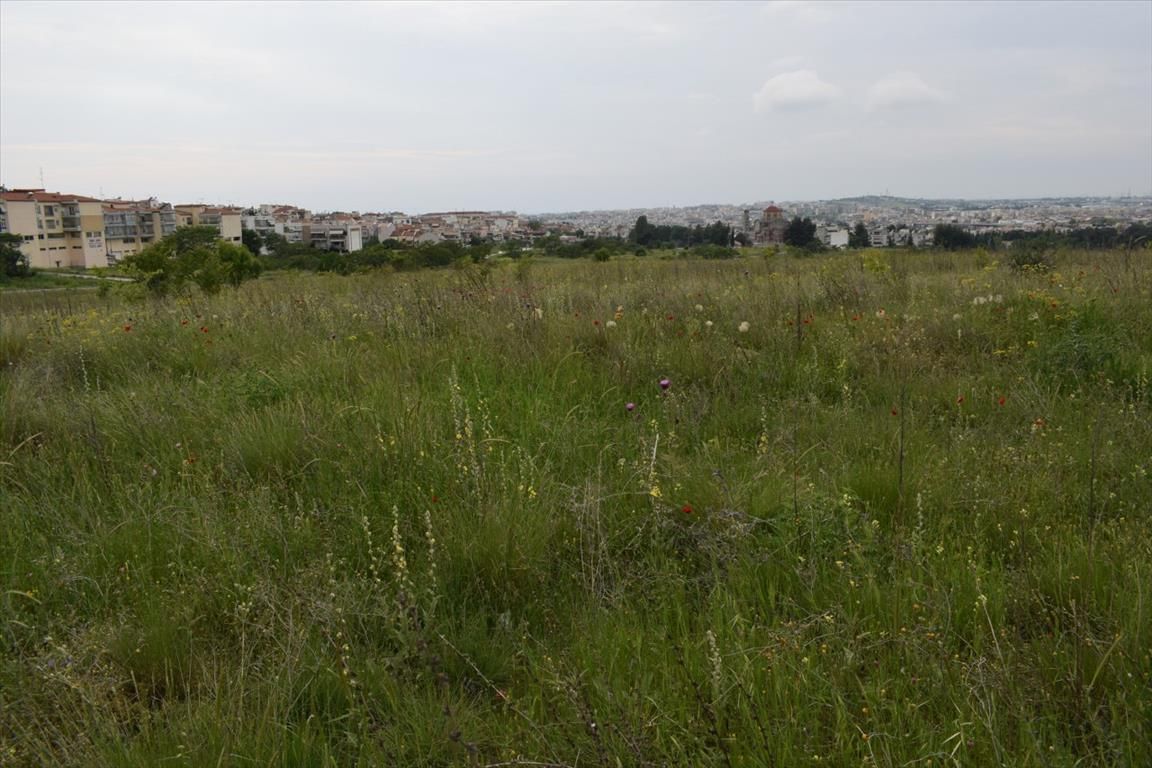 Land in Thessaloniki, Greece, 4 960 sq.m - picture 1
