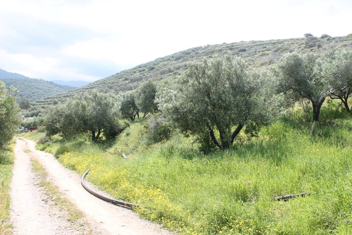 Terreno en Lasithi, Grecia, 9 700 m2 - imagen 1
