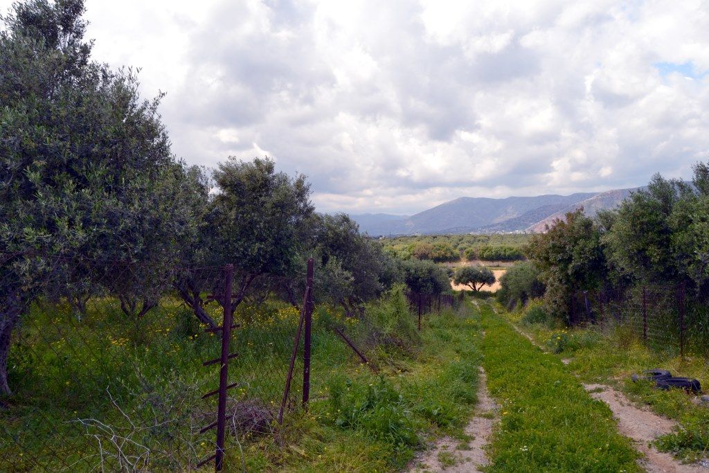 Grundstück in Heraklion, Griechenland, 4 500 m2 - Foto 1