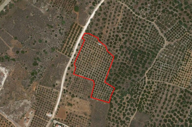 Land in Lasithi, Greece, 11 000 sq.m - picture 1