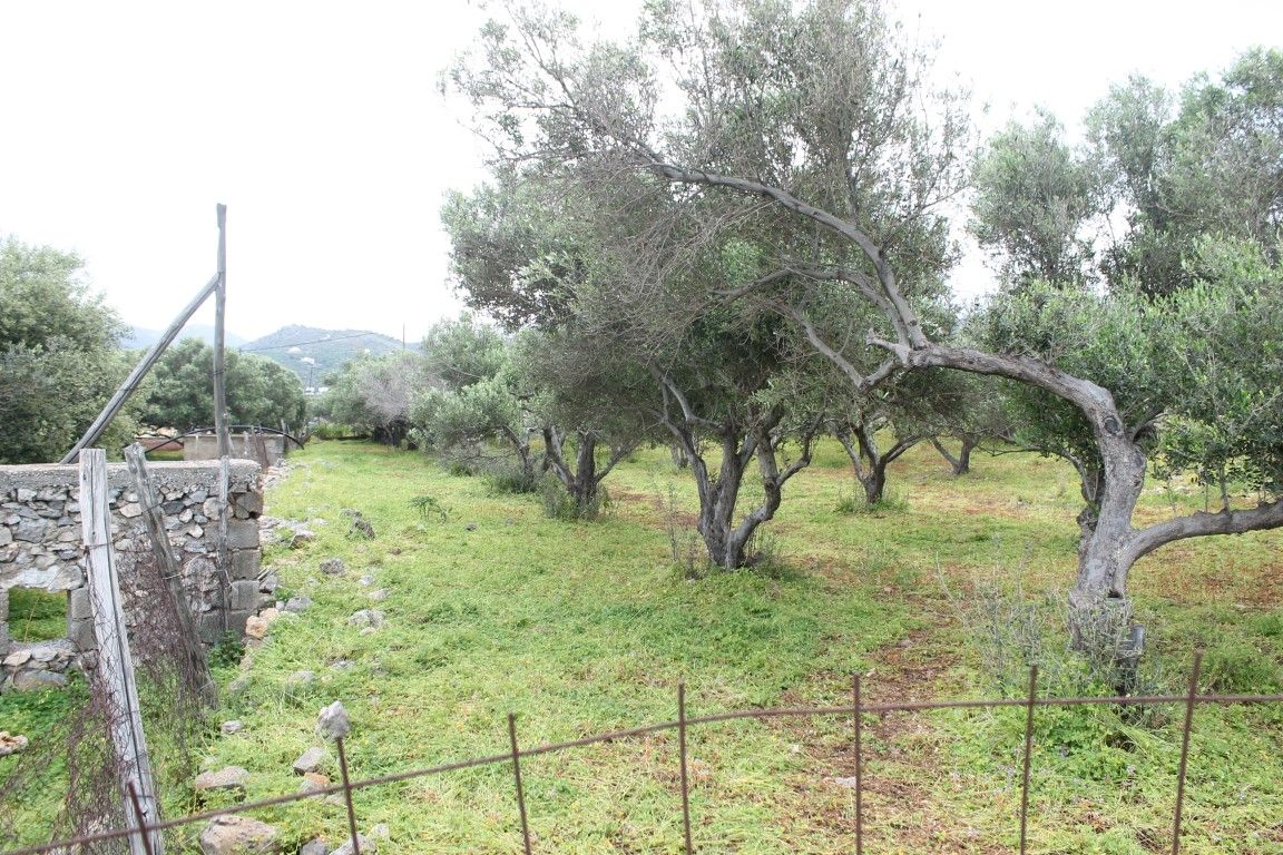 Land in Milatos, Greece, 6 150 sq.m - picture 1