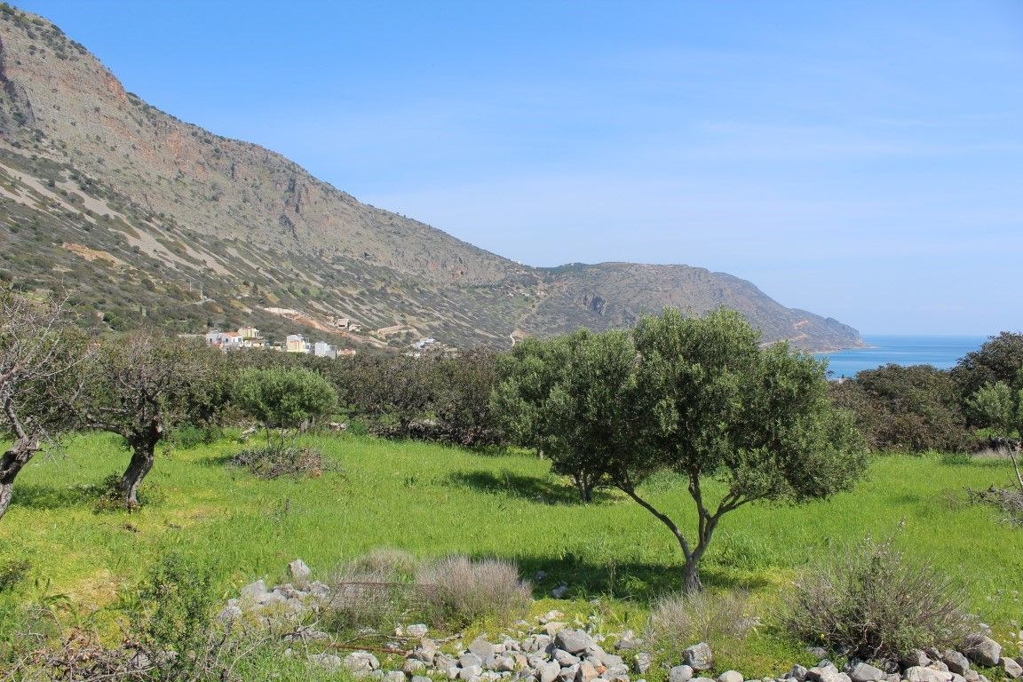 Land in Lasithi, Greece, 5 889 sq.m - picture 1