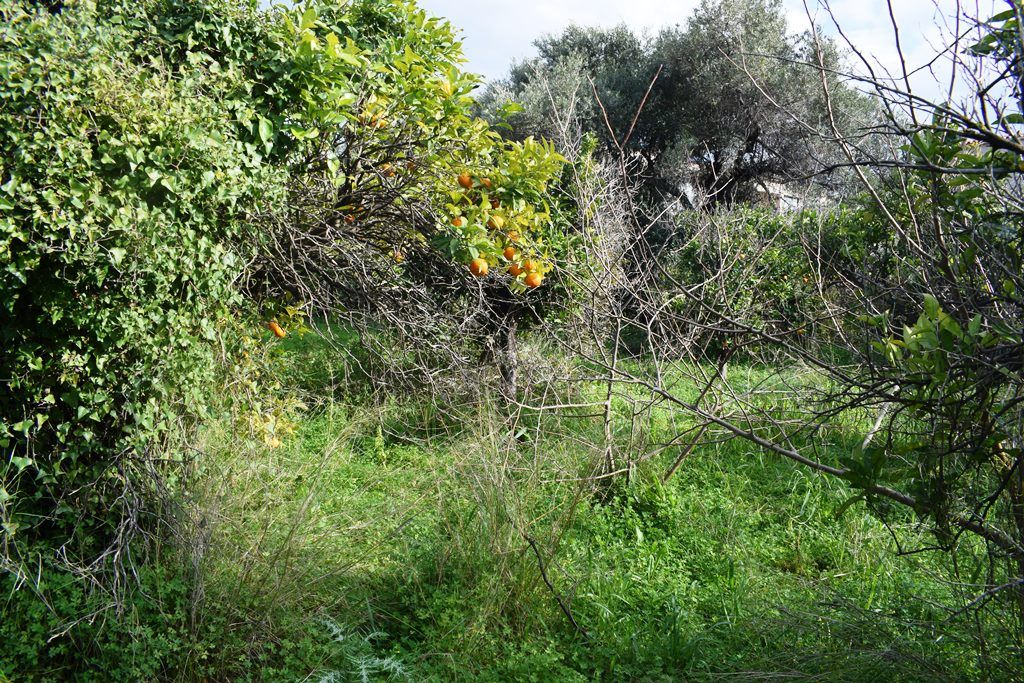 Land in Chania, Greece, 1 333 m² - picture 1