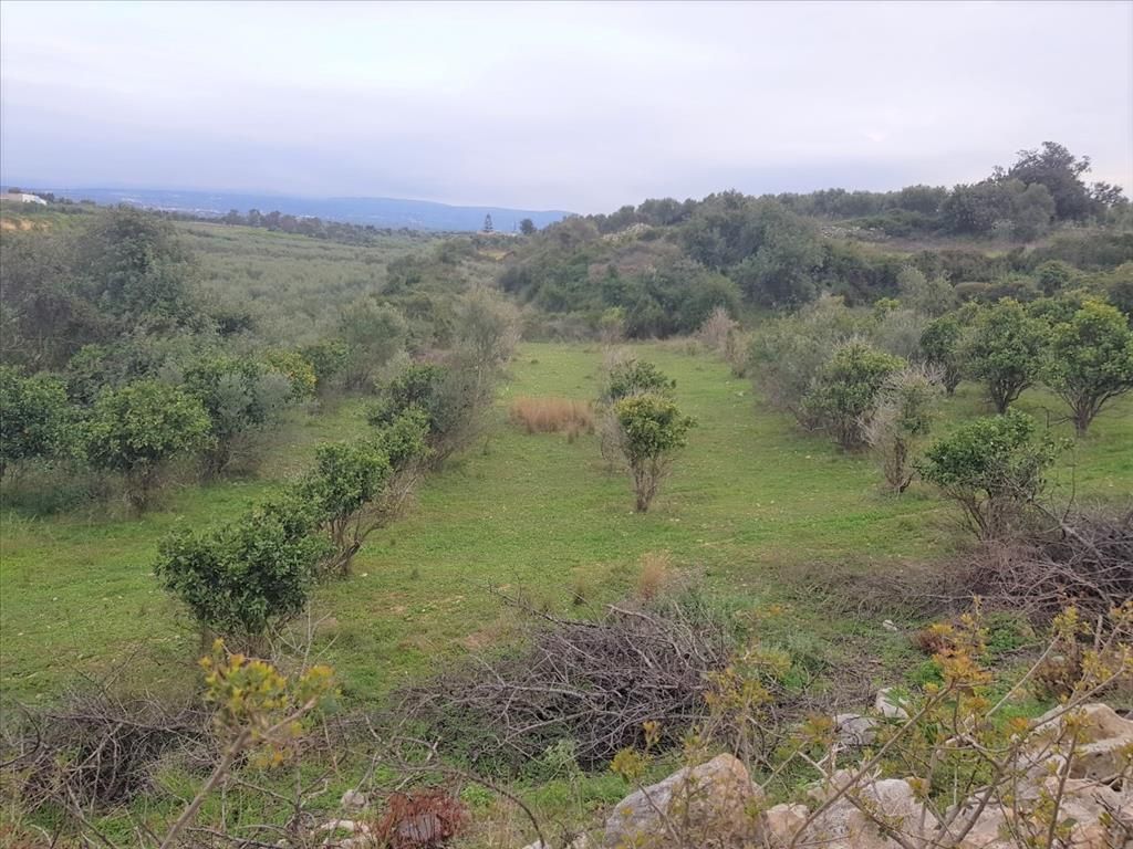 Grundstück in Rethymno, Griechenland, 12 728 m2 - Foto 1