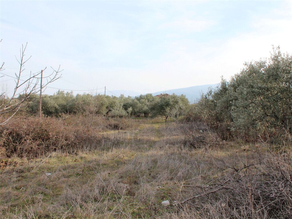 Land in Pieria, Greece, 6 500 sq.m - picture 1