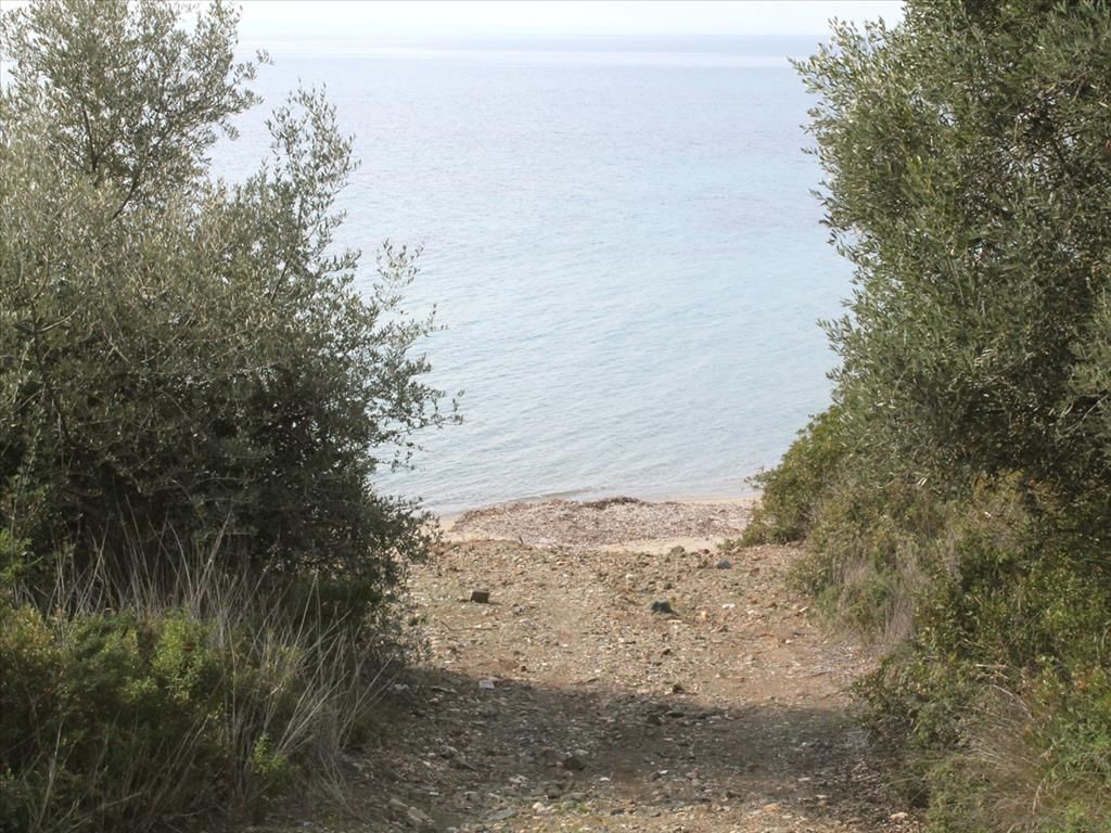 Land in Chalkidiki, Greece, 13 244 sq.m - picture 1