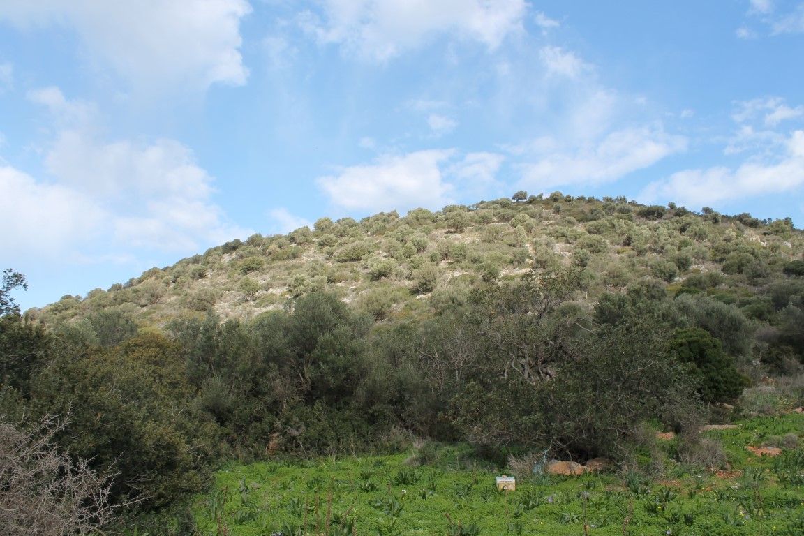 Land in Milatos, Greece, 11 000 sq.m - picture 1