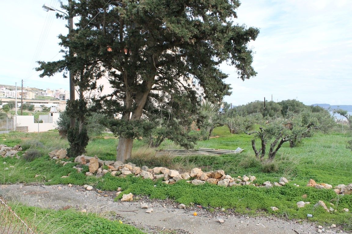 Land in Lasithi, Greece, 458 sq.m - picture 1