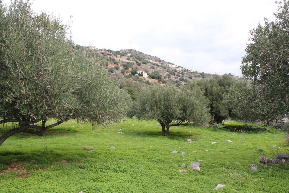 Land in Lasithi, Greece, 1 584 sq.m - picture 1