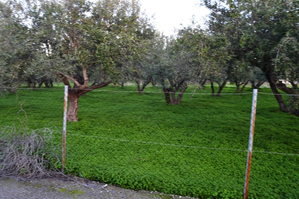 Grundstück in Heraklion, Griechenland, 4 244 m2 - Foto 1