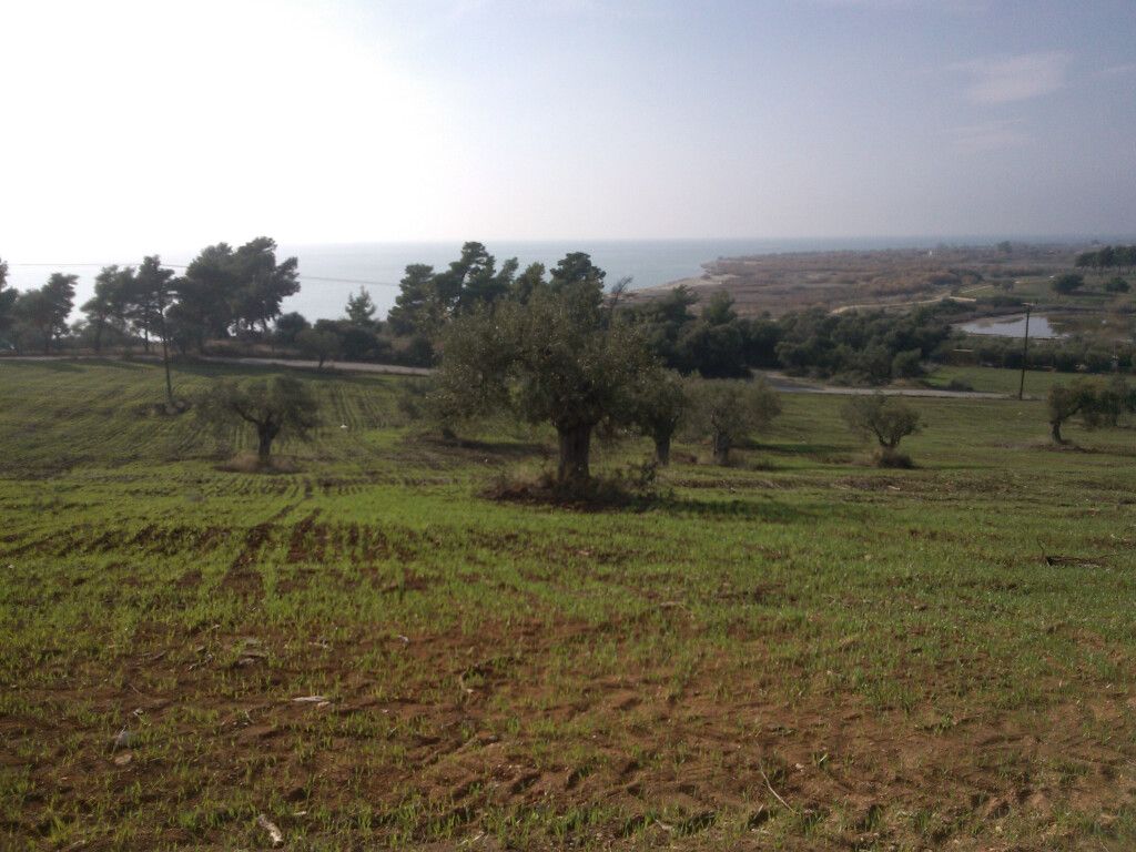 Land in Chalkidiki, Greece, 45 000 sq.m - picture 1