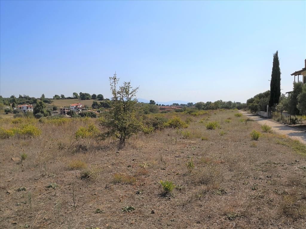 Land in Chalkidiki, Greece, 30 600 sq.m - picture 1