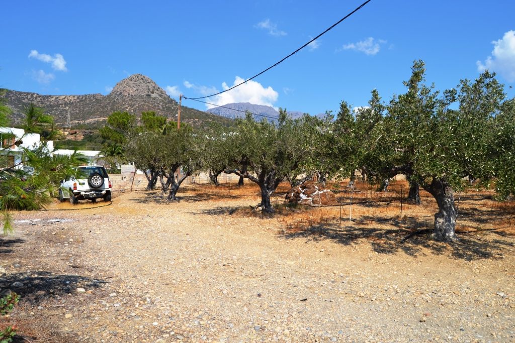 Land in Ierapetra, Greece, 5 500 sq.m - picture 1