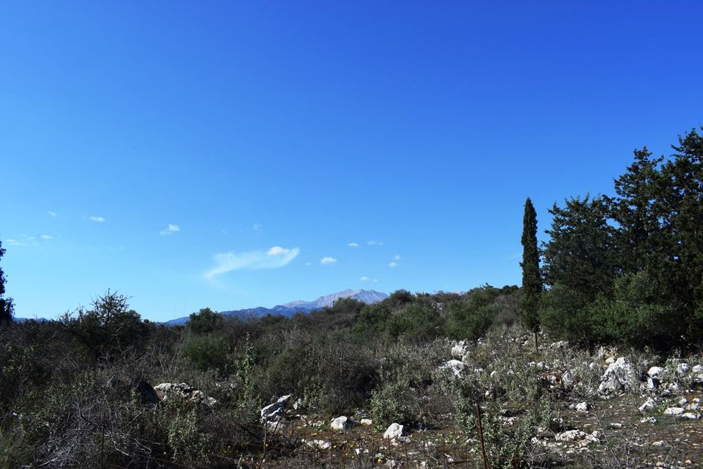 Land in Chania, Greece, 13 000 sq.m - picture 1